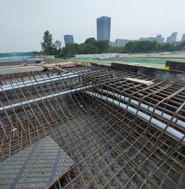 图片12.png 图片12.png